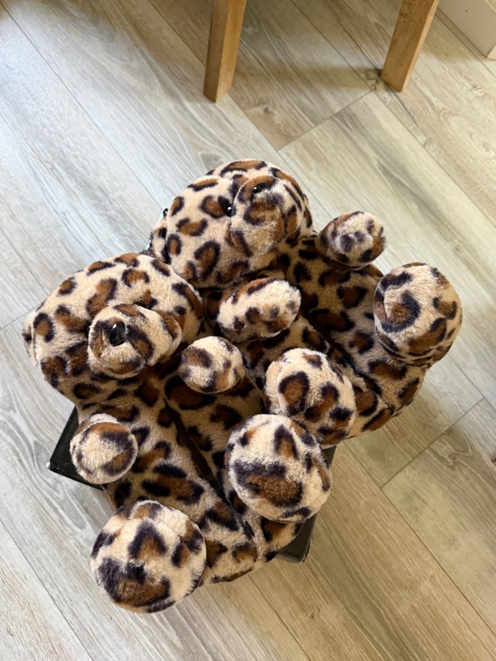 Women’s slippers